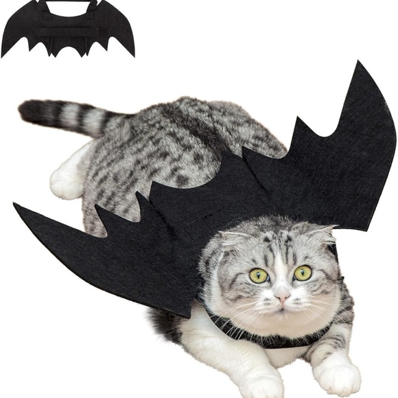 Cat Dog Bat Wings Puppy Kitten Kitty Halloween Vampire Costume ~Host Pick~x2 - Picture 4 of 16